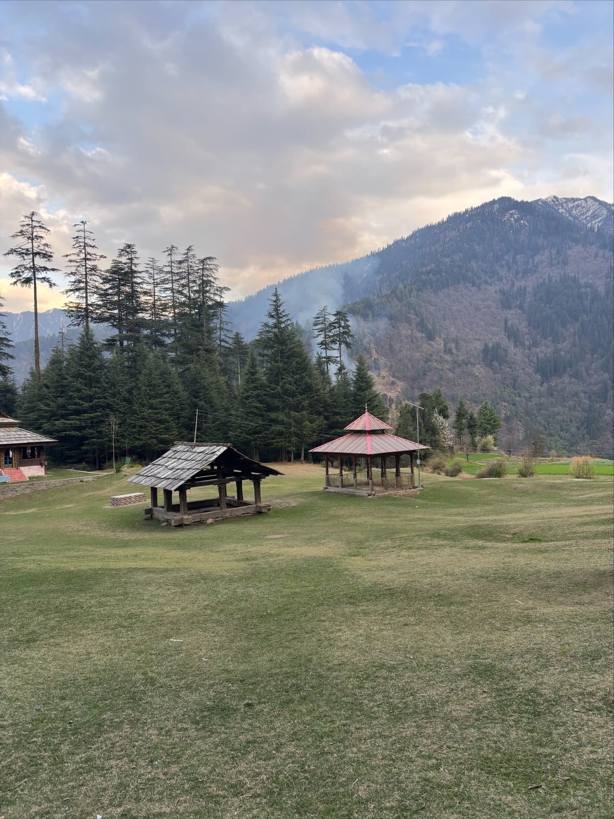 The Meadow at Dusk